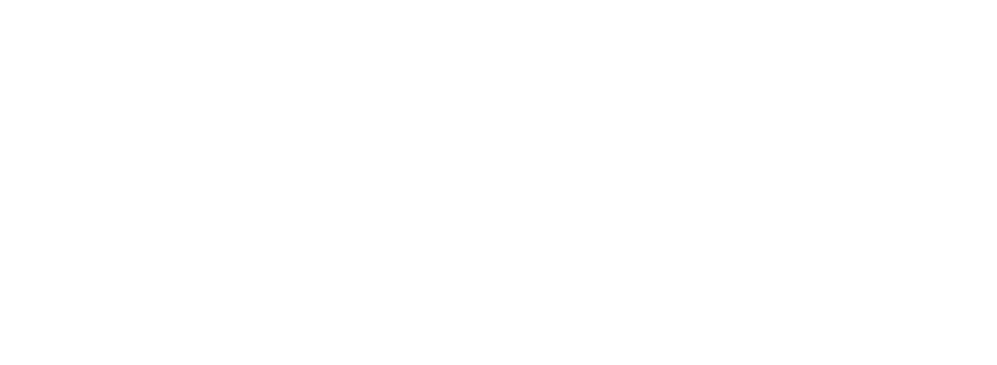 Browsair Logo